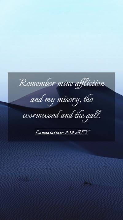 Picture 03 - Lamentations 3:19 ASV Mobile Phone Wallpaper - Remember mine affliction and my misery, the - Mobile Bible Verse Wallpaper