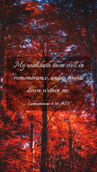 Picture 03 - Lamentations 3:20 ASV Mobile Phone Wallpaper - My soul hath them still in remembrance, and is - Mobile Bible Verse Wallpaper