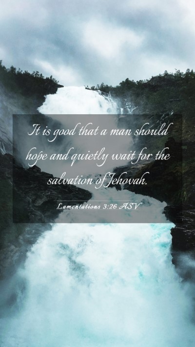 Picture 03 - Lamentations 3:26 ASV Mobile Phone Wallpaper - It is good that a man should hope and quietly - Mobile Bible Verse Wallpaper