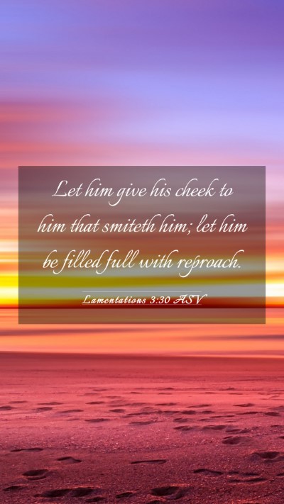 Picture 03 - Lamentations 3:30 ASV Mobile Phone Wallpaper - Let him give his cheek to him that smiteth him; - Mobile Bible Verse Wallpaper