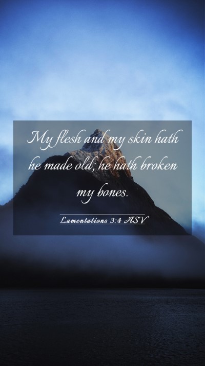 Picture 03 - Lamentations 3:4 ASV Mobile Phone Wallpaper - My flesh and my skin hath he made old; he hath - Mobile Bible Verse Wallpaper