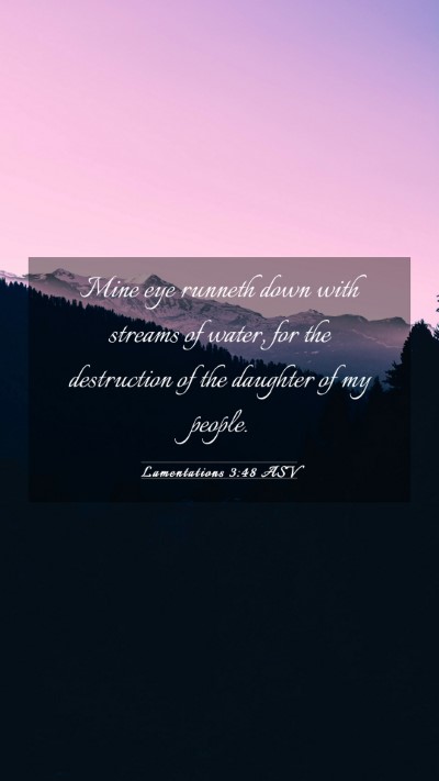 Picture 03 - Lamentations 3:48 ASV Mobile Phone Wallpaper - Mine eye runneth down with streams of water, for - Mobile Bible Verse Wallpaper