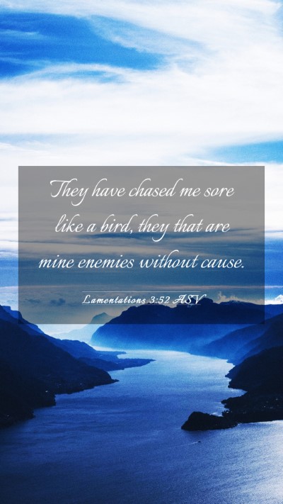 Picture 03 - Lamentations 3:52 ASV Mobile Phone Wallpaper - They have chased me sore like a bird, they that - Mobile Bible Verse Wallpaper