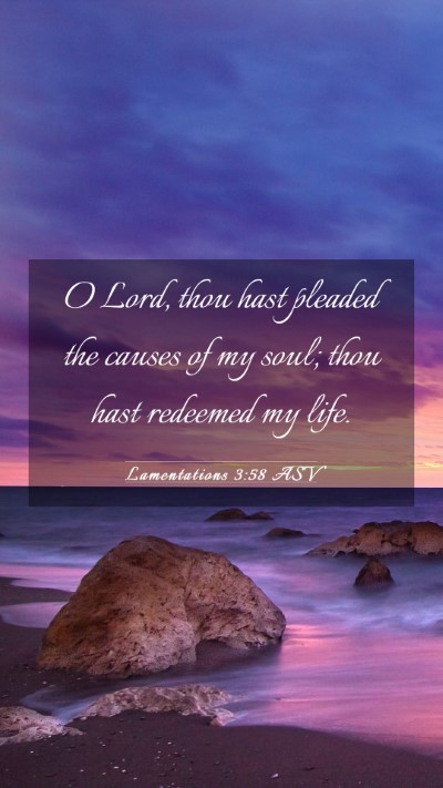 Picture 03 - Lamentations 3:58 ASV Mobile Phone Wallpaper - O Lord, thou hast pleaded the causes of my soul; - Mobile Bible Verse Wallpaper