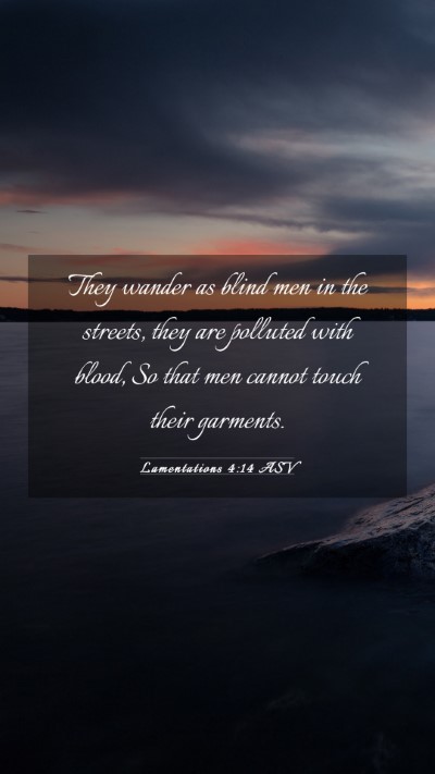Picture 03 - Lamentations 4:14 ASV Mobile Phone Wallpaper - They wander as blind men in the streets, they are - Mobile Bible Verse Wallpaper