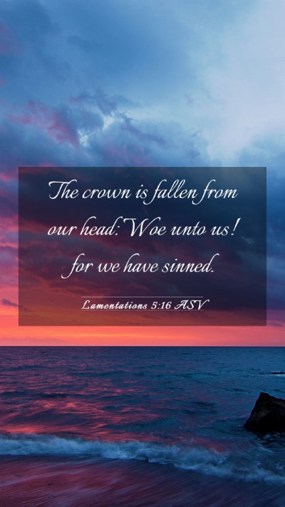 Picture 03 - Lamentations 5:16 ASV Mobile Phone Wallpaper - The crown is fallen from our head: Woe unto us! - Mobile Bible Verse Wallpaper