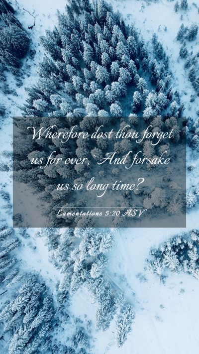 Picture 03 - Lamentations 5:20 ASV Mobile Phone Wallpaper - Wherefore dost thou forget us for ever, `And' - Mobile Bible Verse Wallpaper