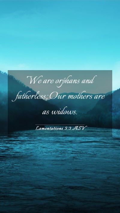Picture 03 - Lamentations 5:3 ASV Mobile Phone Wallpaper - We are orphans and fatherless; Our mothers are as - Mobile Bible Verse Wallpaper