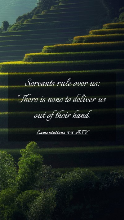 Picture 03 - Lamentations 5:8 ASV Mobile Phone Wallpaper - Servants rule over us: There is none to deliver - Mobile Bible Verse Wallpaper