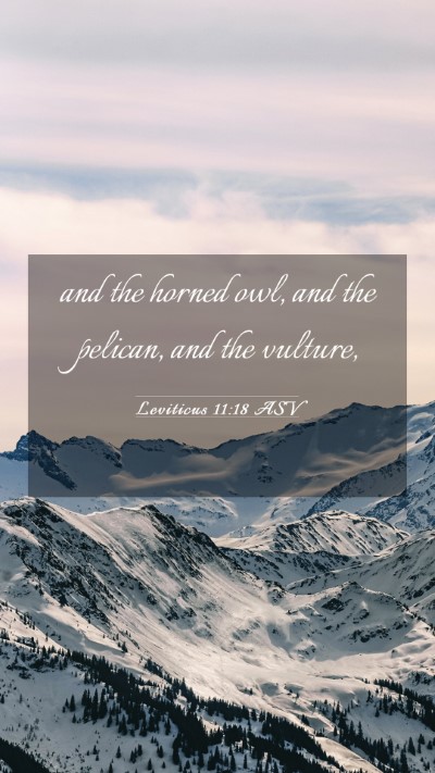 Picture 03 - Leviticus 11:18 ASV Mobile Phone Wallpaper - and the horned owl, and the pelican, and the - Mobile Bible Verse Wallpaper