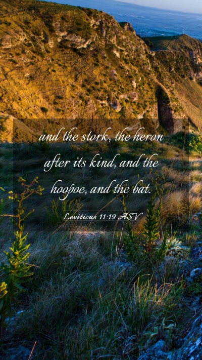 Picture 03 - Leviticus 11:19 ASV Mobile Phone Wallpaper - and the stork, the heron after its kind, and the - Mobile Bible Verse Wallpaper