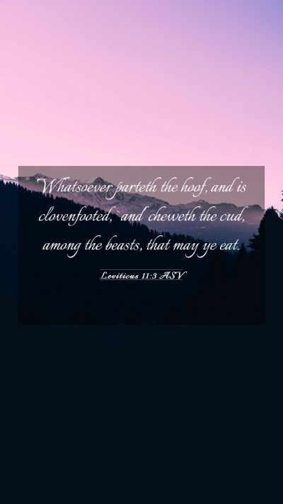 Picture 03 - Leviticus 11:3 ASV Mobile Phone Wallpaper - Whatsoever parteth the hoof, and is clovenfooted, - Mobile Bible Verse Wallpaper