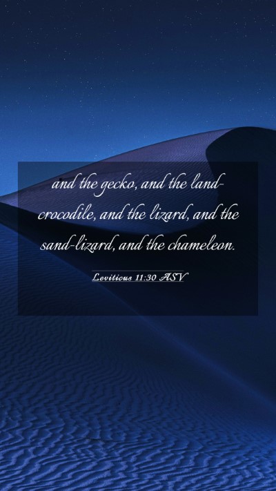 Picture 03 - Leviticus 11:30 ASV Mobile Phone Wallpaper - and the gecko, and the land-crocodile, and the - Mobile Bible Verse Wallpaper