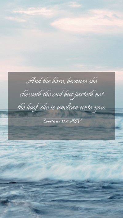 Picture 03 - Leviticus 11:6 ASV Mobile Phone Wallpaper - And the hare, because she cheweth the cud but - Mobile Bible Verse Wallpaper