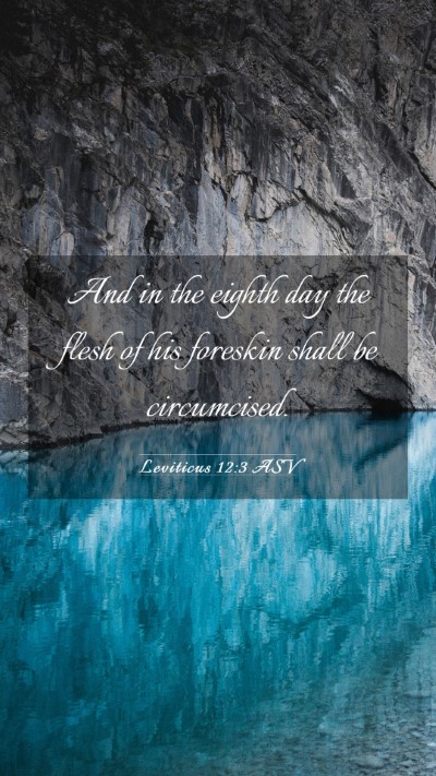Picture 03 - Leviticus 12:3 ASV Mobile Phone Wallpaper - And in the eighth day the flesh of his foreskin - Mobile Bible Verse Wallpaper