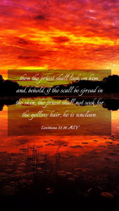 Picture 03 - Leviticus 13:36 ASV Mobile Phone Wallpaper - then the priest shall look on him; and, behold, - Mobile Bible Verse Wallpaper