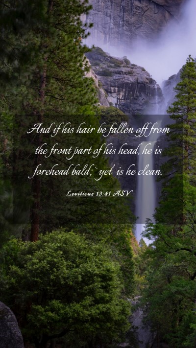 Picture 03 - Leviticus 13:41 ASV Mobile Phone Wallpaper - And if his hair be fallen off from the front part - Mobile Bible Verse Wallpaper