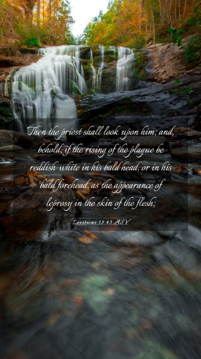 Picture 03 - Leviticus 13:43 ASV Mobile Phone Wallpaper - Then the priest shall look upon him; and, behold, - Mobile Bible Verse Wallpaper