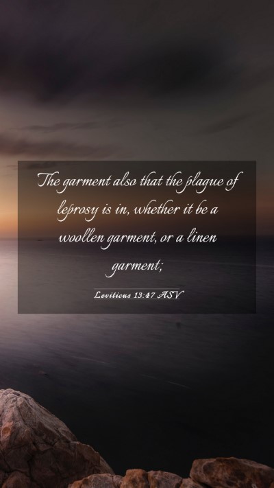 Picture 03 - Leviticus 13:47 ASV Mobile Phone Wallpaper - The garment also that the plague of leprosy is - Mobile Bible Verse Wallpaper