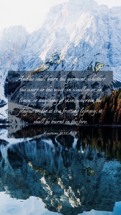 Picture 03 - Leviticus 13:52 ASV Mobile Phone Wallpaper - And he shall burn the garment, whether the warp - Mobile Bible Verse Wallpaper