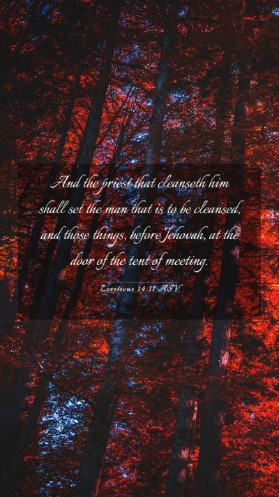Picture 03 - Leviticus 14:11 ASV Mobile Phone Wallpaper - And the priest that cleanseth him shall set the - Mobile Bible Verse Wallpaper