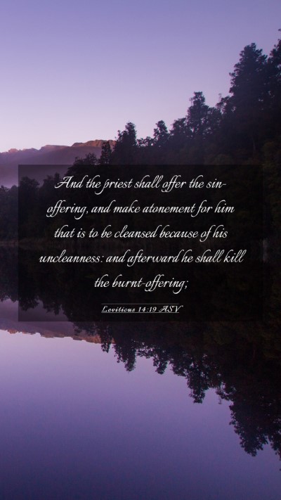 Picture 03 - Leviticus 14:19 ASV Mobile Phone Wallpaper - And the priest shall offer the sin-offering, and - Mobile Bible Verse Wallpaper
