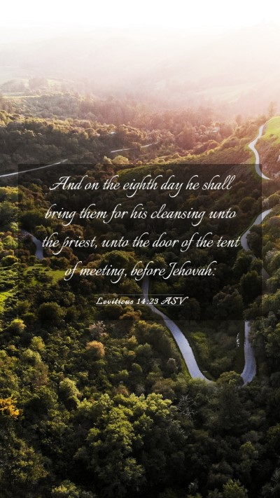 Picture 03 - Leviticus 14:23 ASV Mobile Phone Wallpaper - And on the eighth day he shall bring them for his - Mobile Bible Verse Wallpaper
