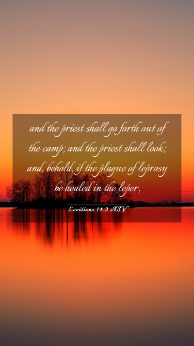 Picture 03 - Leviticus 14:3 ASV Mobile Phone Wallpaper - and the priest shall go forth out of the camp; - Mobile Bible Verse Wallpaper