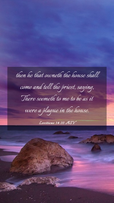 Picture 03 - Leviticus 14:35 ASV Mobile Phone Wallpaper - then he that owneth the house shall come and tell - Mobile Bible Verse Wallpaper