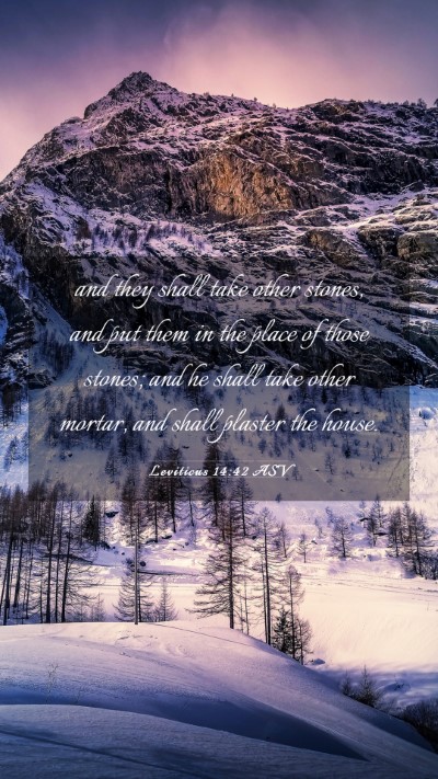 Picture 03 - Leviticus 14:42 ASV Mobile Phone Wallpaper - and they shall take other stones, and put them in - Mobile Bible Verse Wallpaper