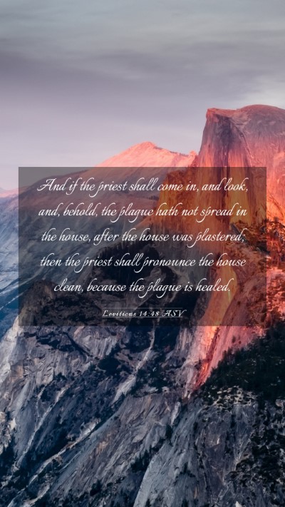 Picture 03 - Leviticus 14:48 ASV Mobile Phone Wallpaper - And if the priest shall come in, and look, and, - Mobile Bible Verse Wallpaper