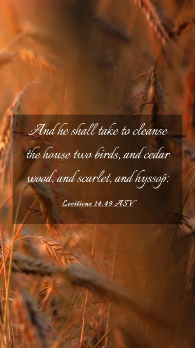 Picture 03 - Leviticus 14:49 ASV Mobile Phone Wallpaper - And he shall take to cleanse the house two birds, - Mobile Bible Verse Wallpaper