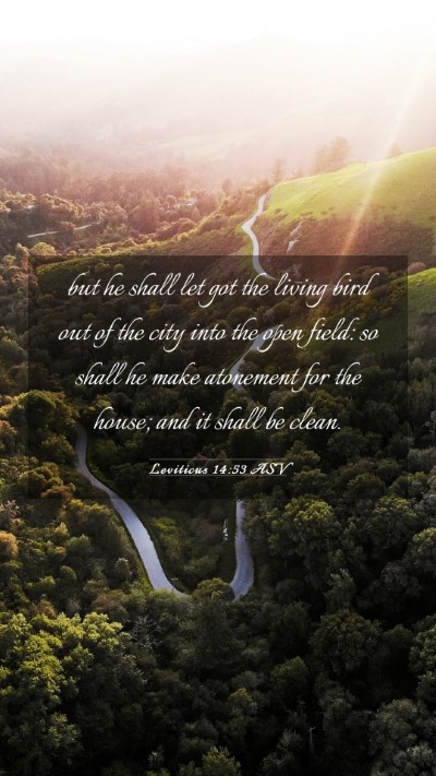 Picture 03 - Leviticus 14:53 ASV Mobile Phone Wallpaper - but he shall let got the living bird out of the - Mobile Bible Verse Wallpaper