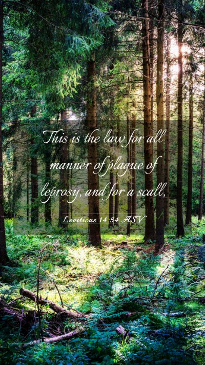 Picture 03 - Leviticus 14:54 ASV Mobile Phone Wallpaper - This is the law for all manner of plague of - Mobile Bible Verse Wallpaper