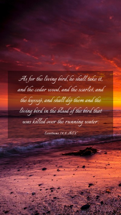 Picture 03 - Leviticus 14:6 ASV Mobile Phone Wallpaper - As for the living bird, he shall take it, and the - Mobile Bible Verse Wallpaper