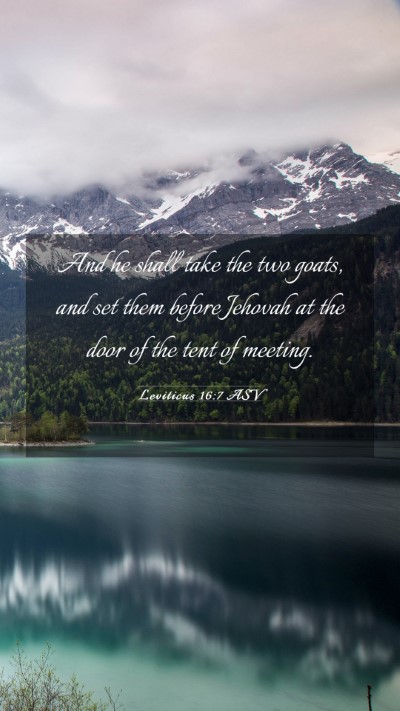 Picture 03 - Leviticus 16:7 ASV Mobile Phone Wallpaper - And he shall take the two goats, and set them - Mobile Bible Verse Wallpaper