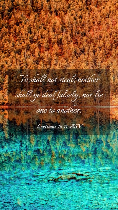 Picture 03 - Leviticus 19:11 ASV Mobile Phone Wallpaper - Ye shall not steal; neither shall ye deal - Mobile Bible Verse Wallpaper