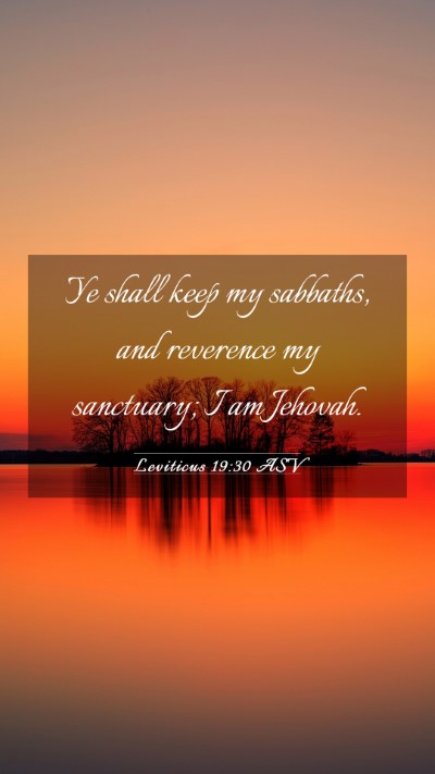 Picture 03 - Leviticus 19:30 ASV Mobile Phone Wallpaper - Ye shall keep my sabbaths, and reverence my - Mobile Bible Verse Wallpaper