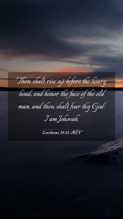 Picture 03 - Leviticus 19:32 ASV Mobile Phone Wallpaper - Thou shalt rise up before the hoary head, and - Mobile Bible Verse Wallpaper