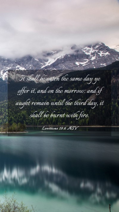 Picture 03 - Leviticus 19:6 ASV Mobile Phone Wallpaper - It shall be eaten the same day ye offer it, and - Mobile Bible Verse Wallpaper