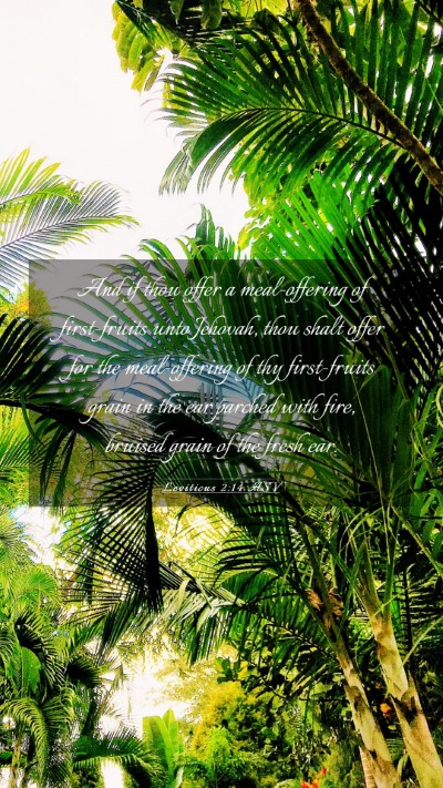 Picture 03 - Leviticus 2:14 ASV Mobile Phone Wallpaper - And if thou offer a meal-offering of first-fruits - Mobile Bible Verse Wallpaper