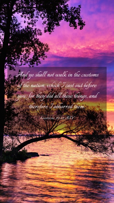 Picture 03 - Leviticus 20:23 ASV Mobile Phone Wallpaper - And ye shall not walk in the customs of the - Mobile Bible Verse Wallpaper