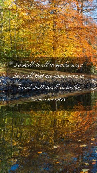 Picture 03 - Leviticus 23:42 ASV Mobile Phone Wallpaper - Ye shall dwell in booths seven days; all that are - Mobile Bible Verse Wallpaper