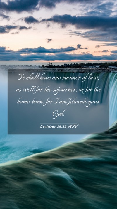 Picture 03 - Leviticus 24:22 ASV Mobile Phone Wallpaper - Ye shall have one manner of law, as well for the - Mobile Bible Verse Wallpaper