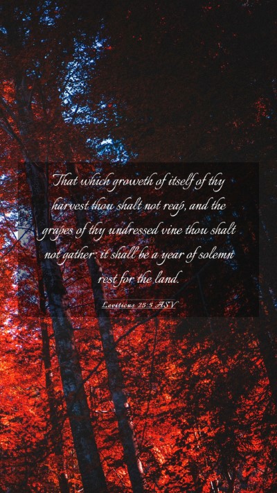 Picture 03 - Leviticus 25:5 ASV Mobile Phone Wallpaper - That which groweth of itself of thy harvest thou - Mobile Bible Verse Wallpaper