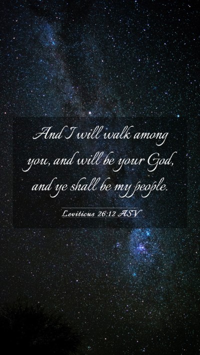 Picture 03 - Leviticus 26:12 ASV Mobile Phone Wallpaper - And I will walk among you, and will be your God, - Mobile Bible Verse Wallpaper