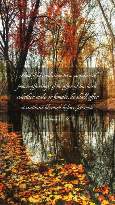 Picture 03 - Leviticus 3:1 ASV Mobile Phone Wallpaper - And if his oblation be a sacrifice of - Mobile Bible Verse Wallpaper