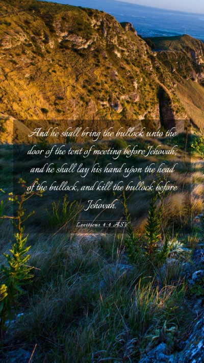 Picture 03 - Leviticus 4:4 ASV Mobile Phone Wallpaper - And he shall bring the bullock unto the door of - Mobile Bible Verse Wallpaper