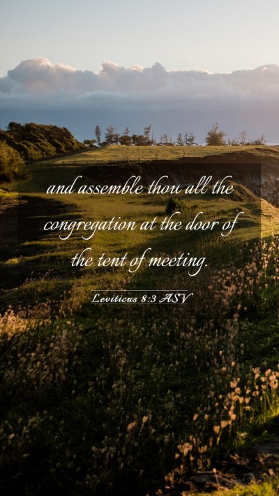 Picture 03 - Leviticus 8:3 ASV Mobile Phone Wallpaper - and assemble thou all the congregation at the - Mobile Bible Verse Wallpaper