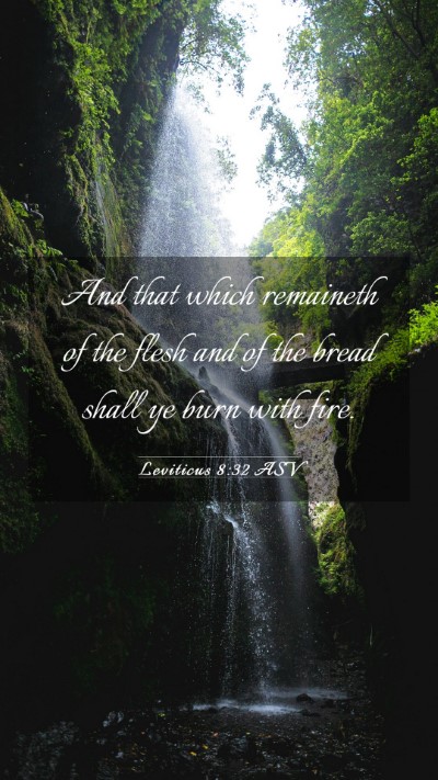 Picture 03 - Leviticus 8:32 ASV Mobile Phone Wallpaper - And that which remaineth of the flesh and of the - Mobile Bible Verse Wallpaper